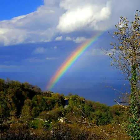 Ξενοδοχείο Aleka's House