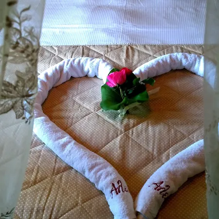 Aleka's House Pelion