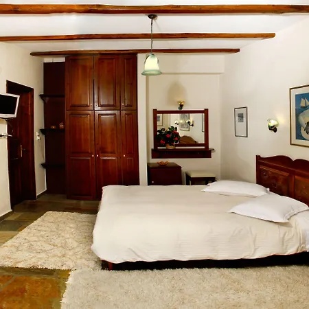 Hotel Aleka's House Pelion