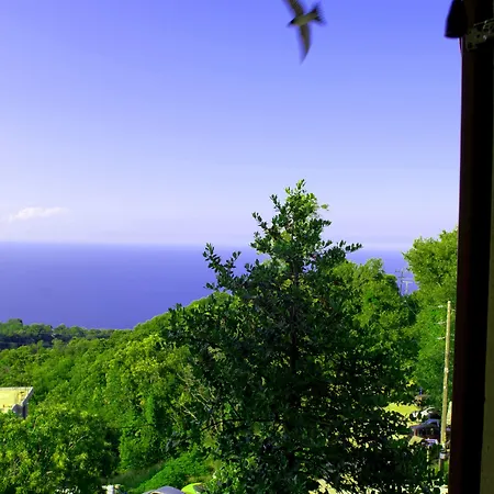 Hotel Aleka's House Pelion