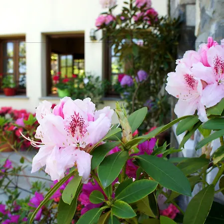 Hotel Aleka's House Pelion