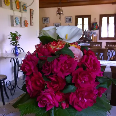 Aleka's House Ξενοδοχείο