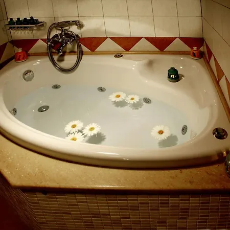 Hotel Aleka's House Pelion