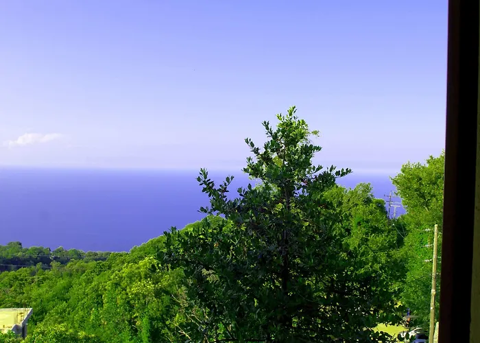 Hotel Aleka's House Pelion