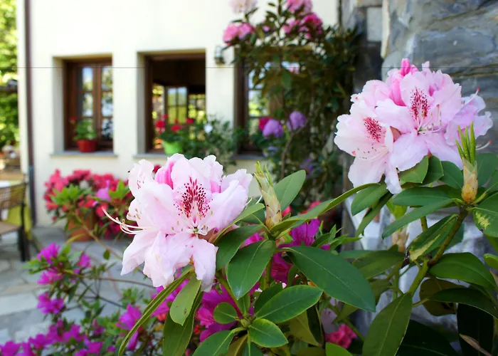 Hotel Aleka's House Pelion